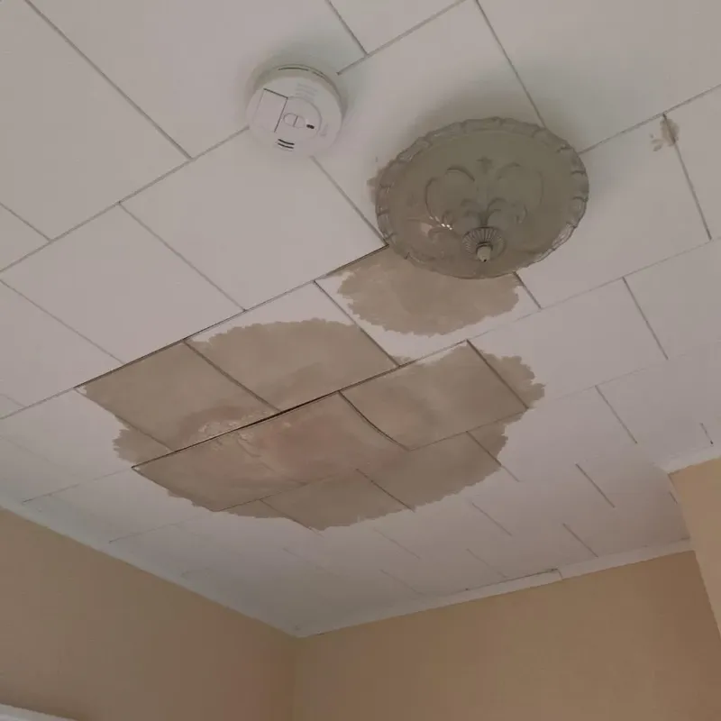 Ceiling Water Damage Repair in Southmayd, TX