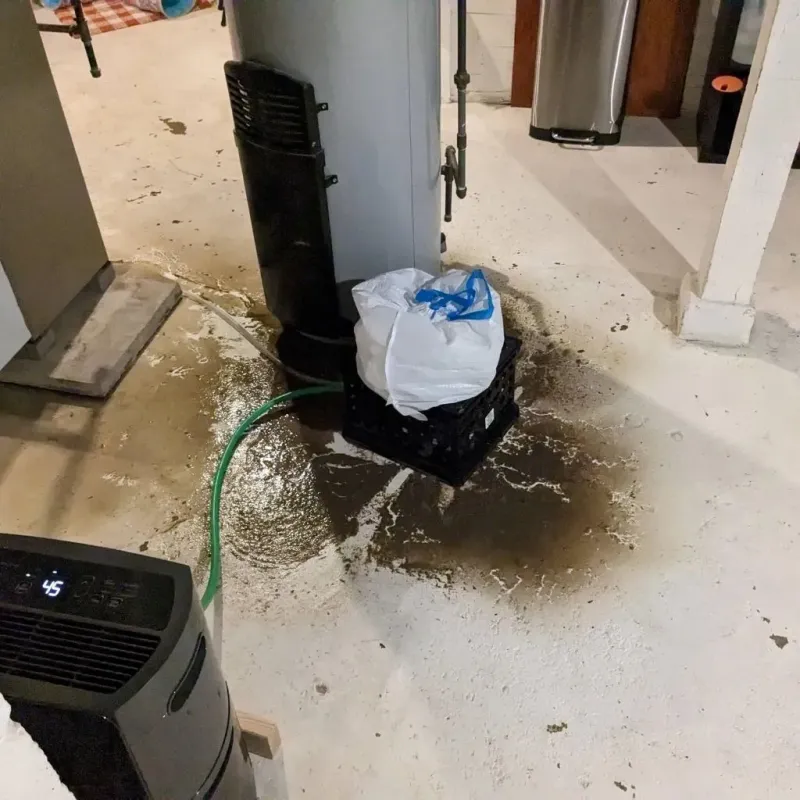 Sewage Backup Cleanup Service in Southmayd, TX